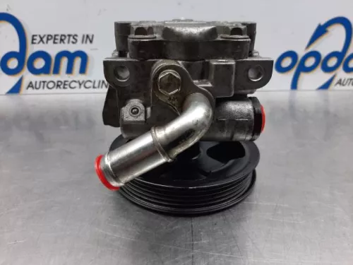 Stuurbekrachtiging Pomp-7885961 (15780659)