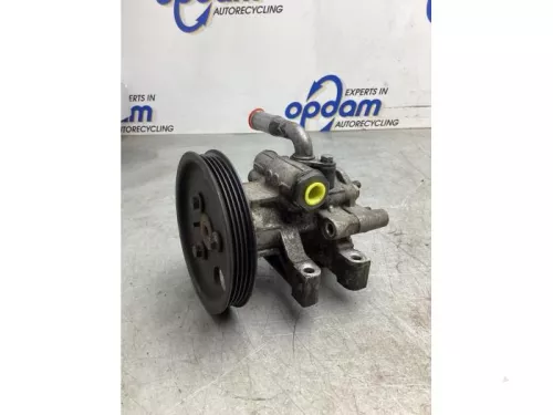 Stuurbekrachtiging Pomp-8057039