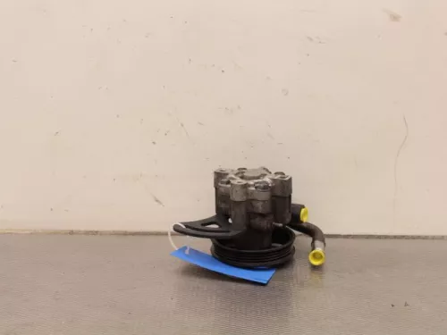 Stuurbekrachtiging Pomp-7886227 (7827239)