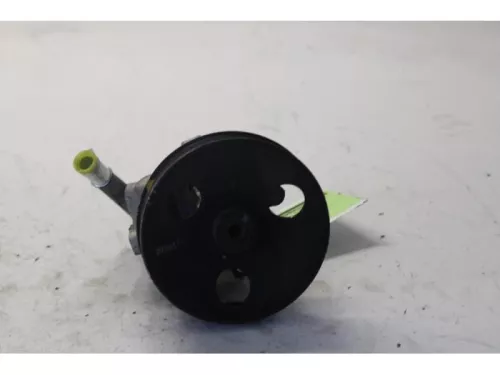 Stuurbekrachtiging Pomp-7879394 (13113371)