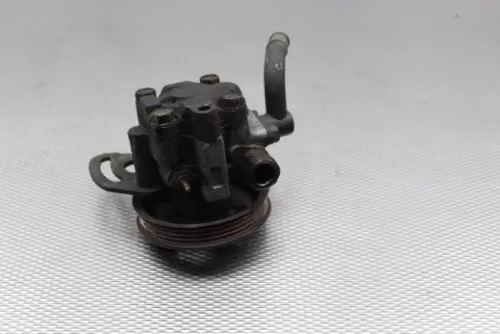 Stuurbekrachtiging Pomp-7882504 (10529656)