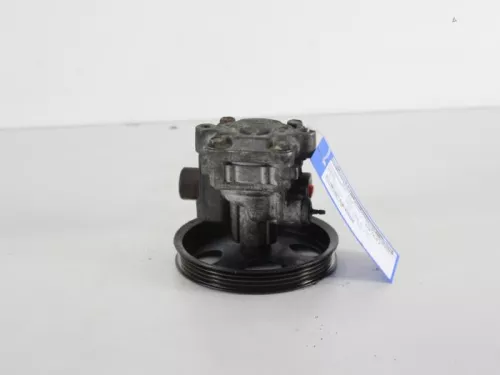 Stuurbekrachtiging Pomp-7888095 (5573515)