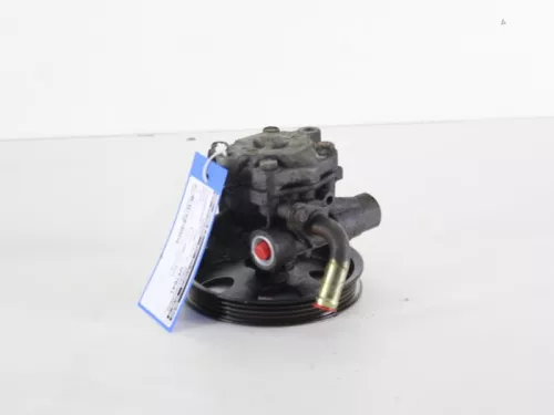 Stuurbekrachtiging Pomp-7888095 (5573515)