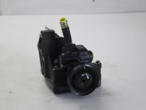Stuurbekrachtiging Pomp-7880267 (11703506)