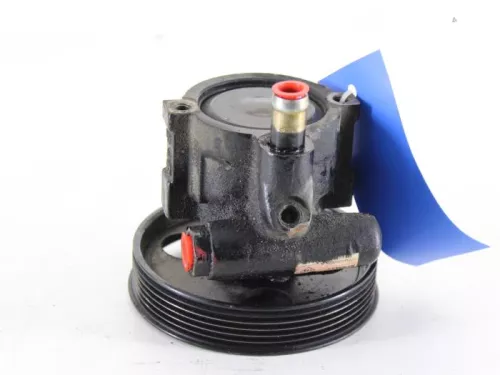 Stuurbekrachtiging Pomp-7889582 (4713449)