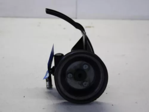 Stuurbekrachtiging Pomp-7892889 (10700281)