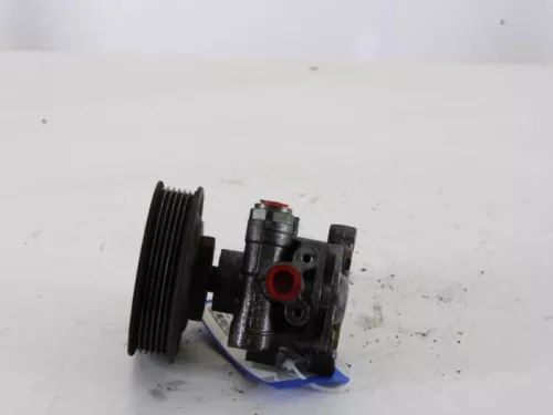 Stuurbekrachtiging Pomp-7889649 (4827272)