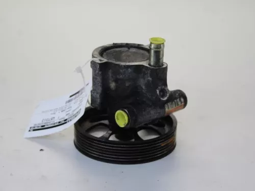 Stuurbekrachtiging Pomp-7880262 (11657189)