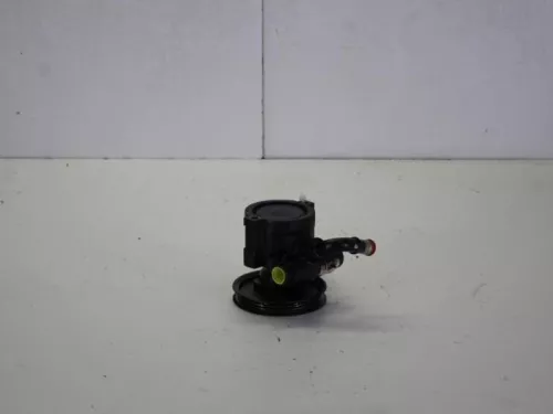 Stuurbekrachtiging Pomp-7882939 (9825275)