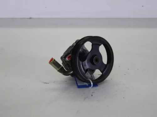 Stuurbekrachtiging Pomp-7885920
