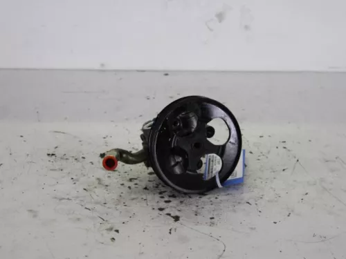 Stuurbekrachtiging Pomp-7581066 (6696893)