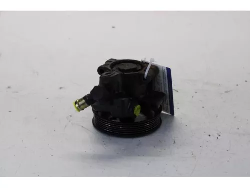 Stuurbekrachtiging Pomp-7612482 (13183325)