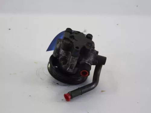 Stuurbekrachtiging Pomp-7890686 (4087114)