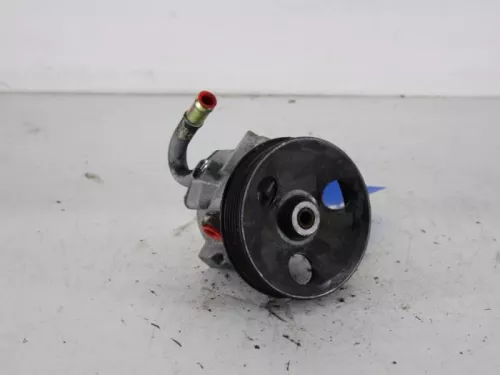 Stuurbekrachtiging Pomp-7887945 (6393834)