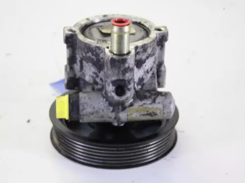 Stuurbekrachtiging Pomp-7882882 (9882179)