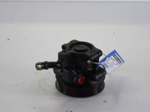 Stuurbekrachtiging Pomp-7897399 (1726862)