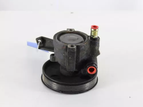 Stuurbekrachtiging Pomp-7889861 (4763316)