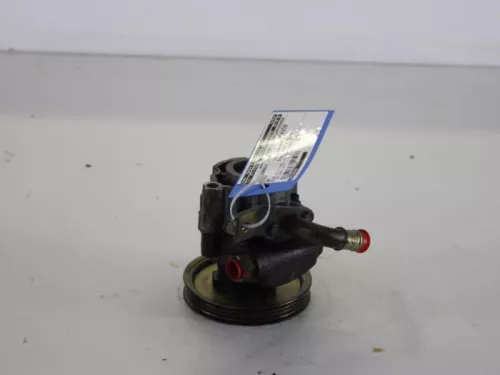 Stuurbekrachtiging Pomp-7890542 (4154418)