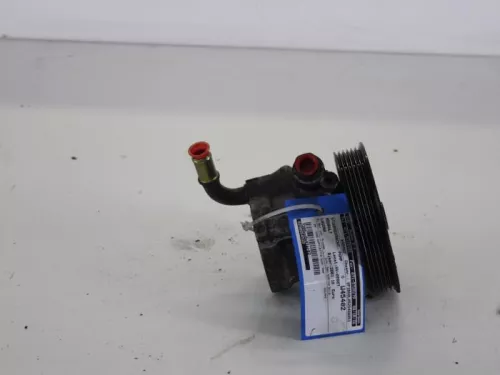 Stuurbekrachtiging Pomp-7890149 (4382281)