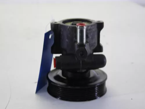 Stuurbekrachtiging Pomp-7890763 (8601418)