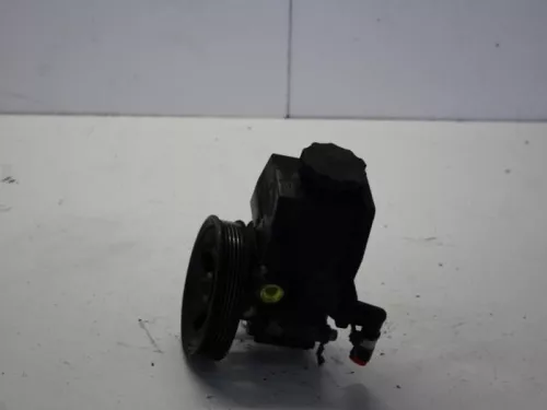 Stuurbekrachtiging Pomp-7884105 (10817116)