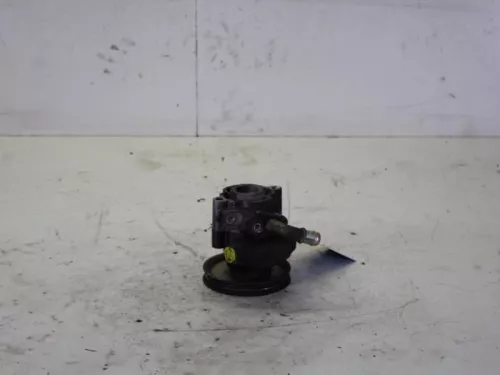 Stuurbekrachtiging Pomp-7882292