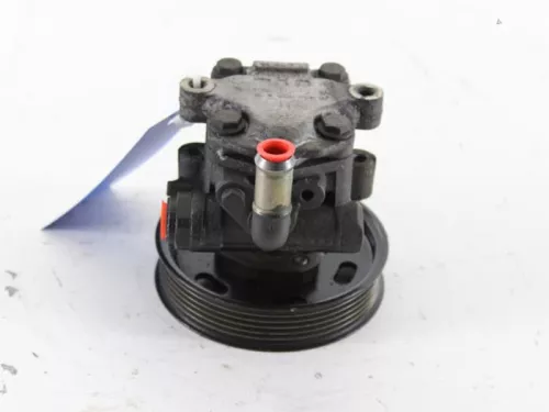 Stuurbekrachtiging Pomp-7889057 (5117759)