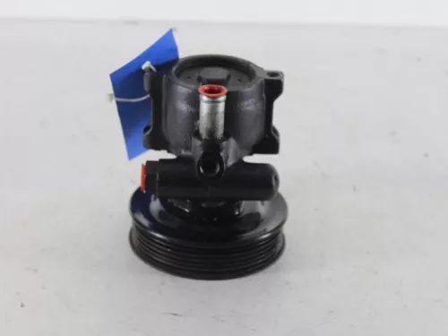 Stuurbekrachtiging Pomp-7888891