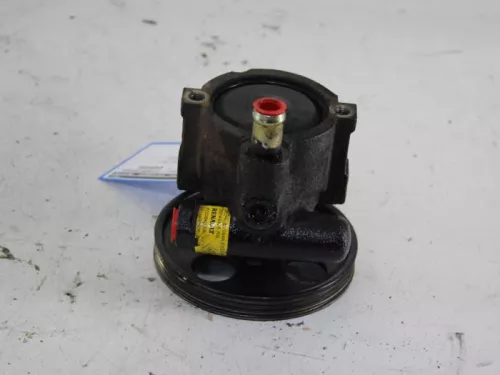 Stuurbekrachtiging Pomp-7886473 (6578477)