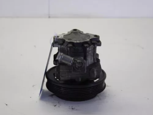 Stuurbekrachtiging Pomp- (8988008)