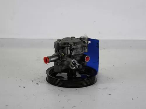 Stuurbekrachtiging Pomp-7887200 (6189173)