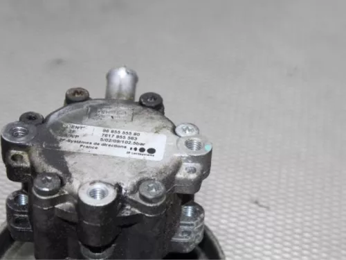 Stuurbekrachtiging Pomp-7855047 (11849849)