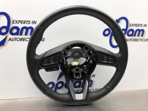 Stuurwiel-7987764 (18110255)