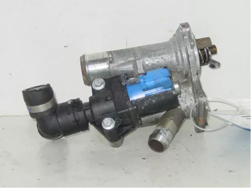 Thermostaathuis-7893342 (13868962)