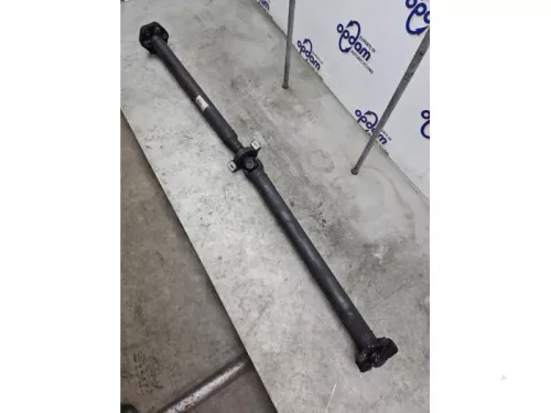 Tussenas-8293124 (22262287)