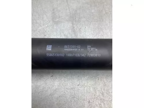 Tussenas-8144552 (20274893)