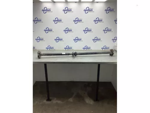 Tussenas-8126952