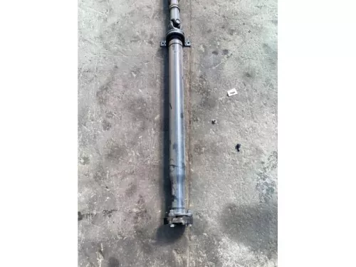 Tussenas-7863632 (17241379)