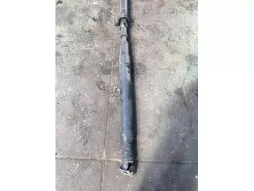 Tussenas-7863632 (17241379)