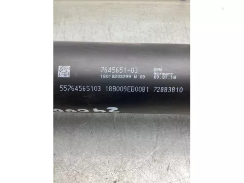 Tussenas-8175183 (20716751)