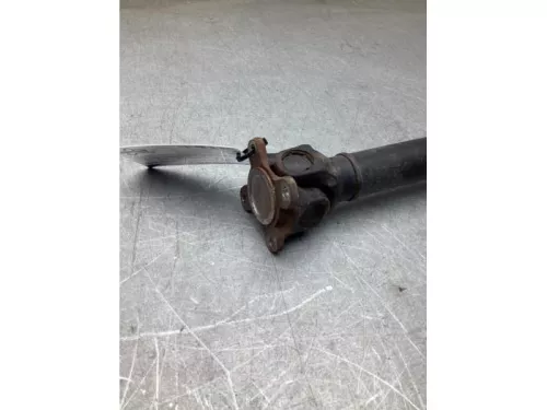 Tussenas-8284463 (22392633)