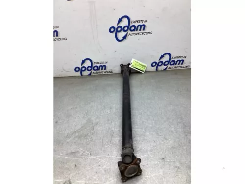 Tussenas-8284463 (22392633)