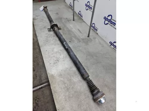 Tussenas-8291253 (22279689)