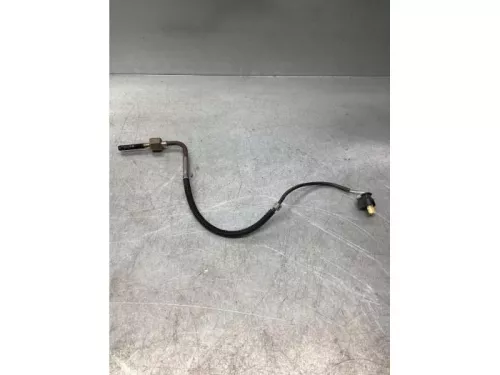 Uitlaat temperatuursensor-7981015 (18009600)