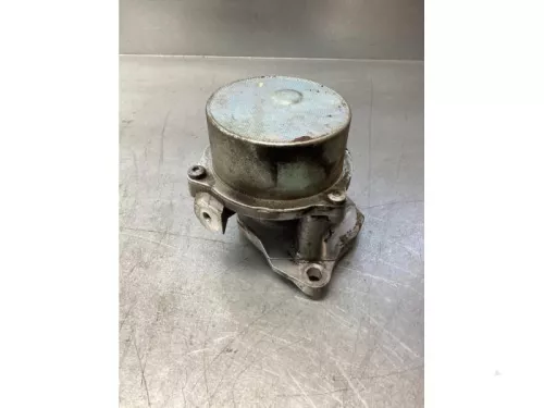Vacuumpomp (Diesel)- (17652183)