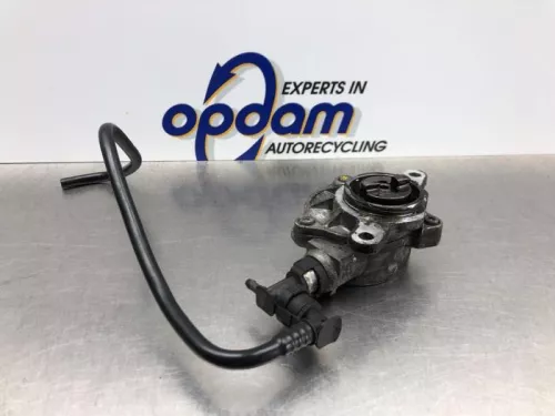 Vacuumpomp (Diesel)-8213959 (21029810)