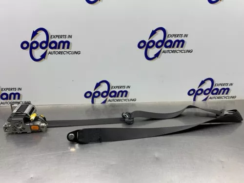 Veiligheidsgordel links-voor-8327969