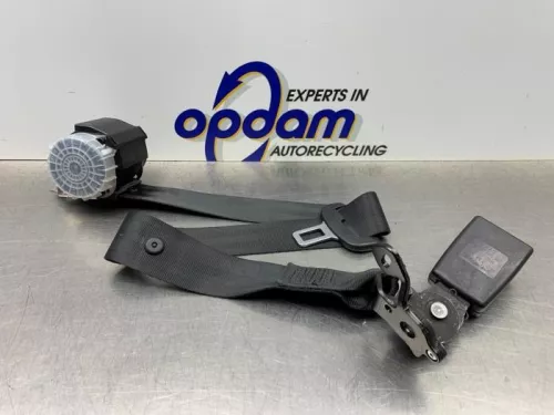 Veiligheidsgordel midden-achter-8255120