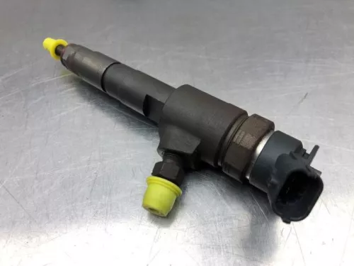 Verstuiver (diesel)-7981474 (20245068)