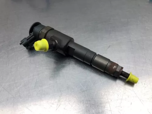Verstuiver (diesel)-7981474 (20245069)